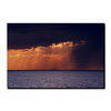 Trademark Fine Art Kurt Shaffer, 'Passing Storm' Canvas Art, 35x47 KS80-C3547GG